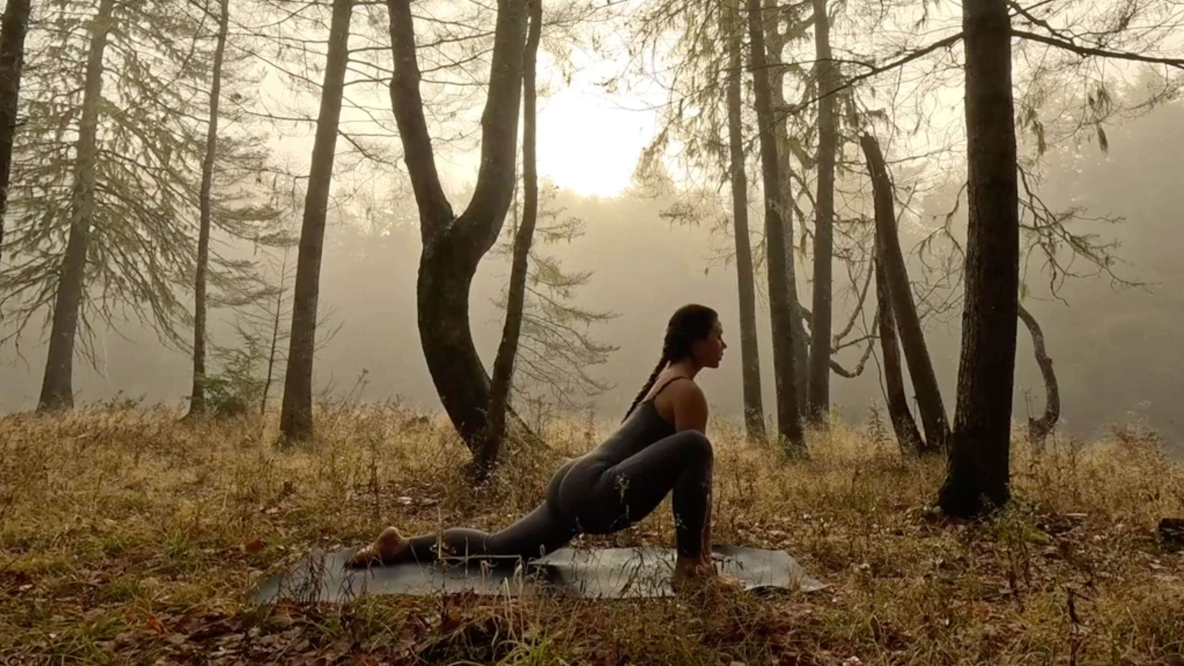 Teacher Emily Baltzer poses in lizard pose, part of her gentle morning yoga routine